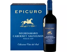 Epicuro Blu Negroamaro/ Cabernet Sauvignon Puglia IGP