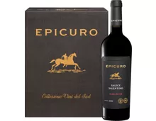 Epicuro Salice Salentino DOP Aged in Oak