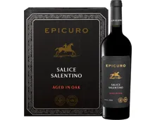 Epicuro Salice Salentino DOP Aged in Oak