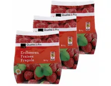 Erdbeeren 3x 500g