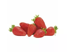 Erdbeeren 500g