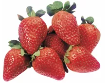 Erdbeeren