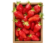 Erdbeeren
