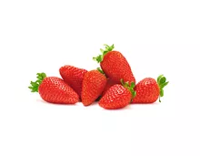 Erdbeeren Clery