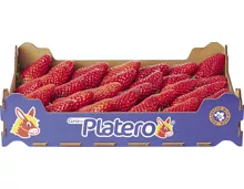 Erdbeeren extra im Kistli