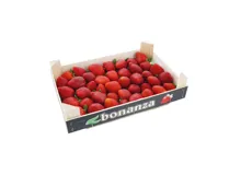 Erdbeeren Premium