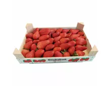 Erdbeeren, Spanien, Packung à 1 kg