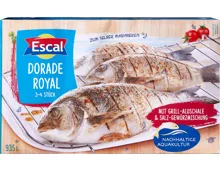 Escal Dorade Royal