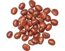 Esskastanien