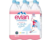 Evian Mineralwasser ohne Kohlensäure 6x1,5l