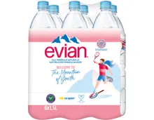 Evian Mineralwasser ohne Kohlensäure 6x1,5l