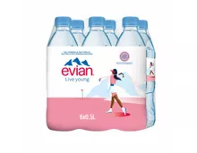 Evian Mineralwasser ohne Kohlensäure 6x50cl