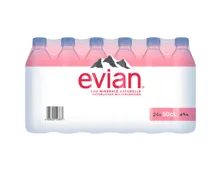Evian Nature Wasser 24 x 50 cl