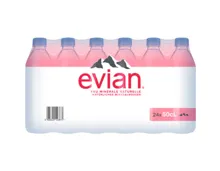 Evian Nature Wasser 24 x 50 cl