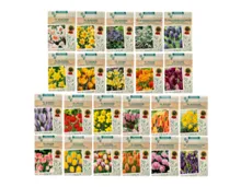 Exklusive Blumenzwiebeln Herbst