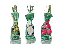 Exklusive Edel-/Beet-/Kletterrosen