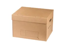 EXPERTIZ Archivkarton