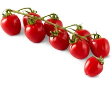 Extra Tomaten Sweet Cherry