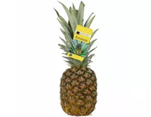 Fairtrade Ananas extrasüss 1 Stück