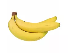 Fairtrade Bananen ca. 1kg