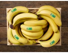 Fairtrade Bio Bananen