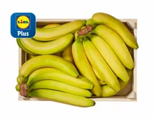 Fairtrade Bio Bananen