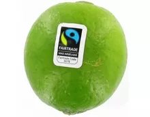 Fairtrade Limette 1 Stück