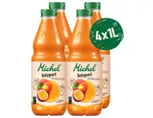 Fairtrade Michel Fruchtsaft Bodyguard 4x1l