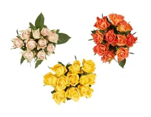Fairtrade Rosen