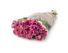 Fairtrade Rosen rosa