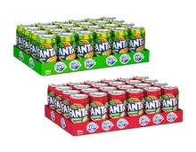 Fanta 24er Pack