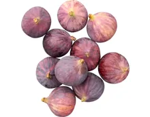 Feigen