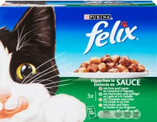 Felix in Sauce