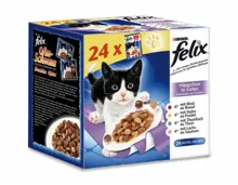 Felix Katzenfutter XXL