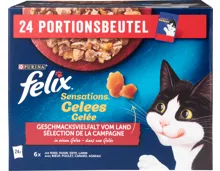 Felix Sensations Katzenfutter in Gelée