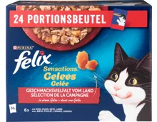 Felix Sensations Katzenfutter in Gelee