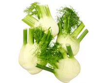 Fenchel