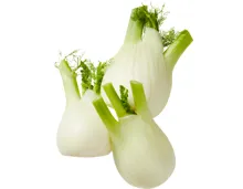 Fenchel