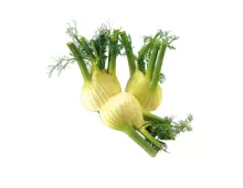 Fenchel