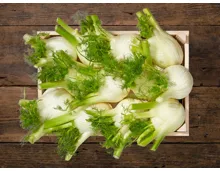 Fenchel (Aktion nur im Tessin gültig)