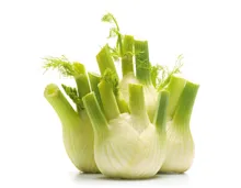 Fenchel ca. 500g