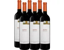 Finca Las Moras Alma Mora Cabernet Sauvignon