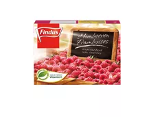 Findus Himbeeren ungezuckert