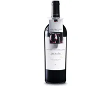 Fine Food Ribera del Duero DO Reserva Pago de los Capellanes (2022) – Rotwein, Spanien (0.75l)
