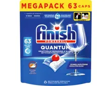 Finish Quantum Tabs Regular 63 Tabs