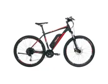 FISCHER E-Mountainbike Montis EM 1726, 48 cm