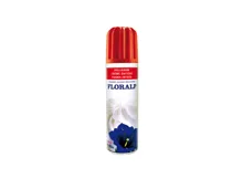 Floralp UHT Sprührahm Dose