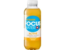 Focuswater Active Ananas & Mango