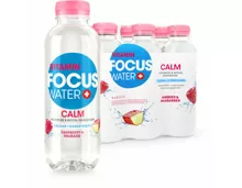 FOCUSWATER Calm Rhabarber 6x50cl