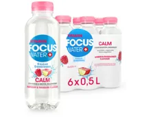 Focuswater Calm Rhabarber 6x50cl